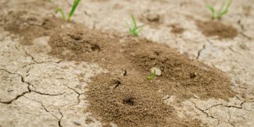 At KNUST, Sesi Technologies introduces the innovative FarmSense soil intelligence system.